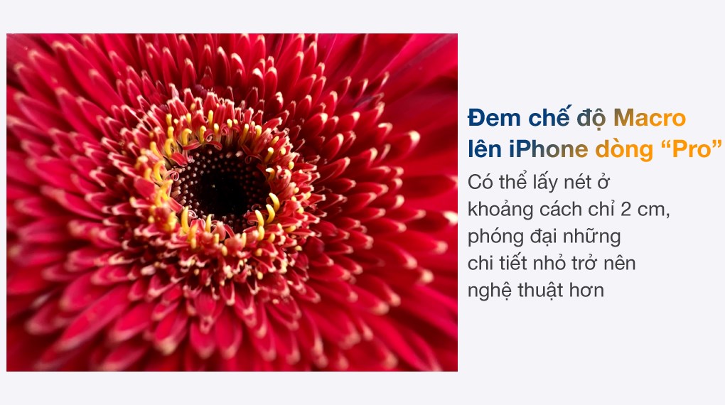 Chụp macro là điểm thú vị dành cho người thích sáng tạo